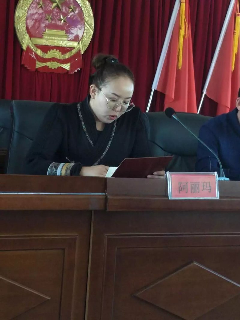 陈旗政府门户网站:解锁政务新窗口