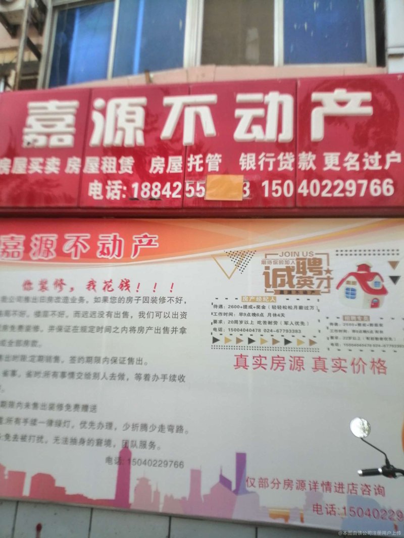 陈旗政府门户网站：打造透明高效的政务服务平台